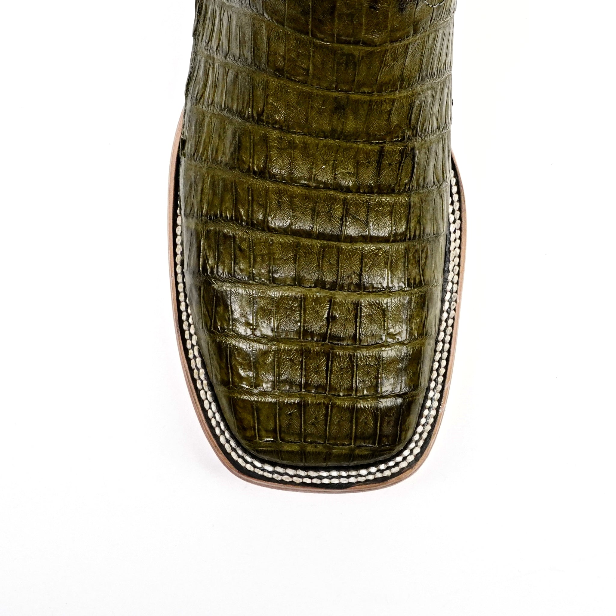 Rhodes Caiman Belly Boots - Agave - Square Toe (LM10) - Gomez Western Wear
