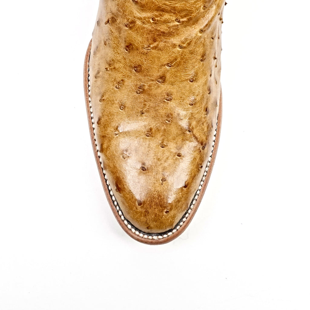 Austin Ostrich Boots - Antiguo - Punta Roper (AV201)