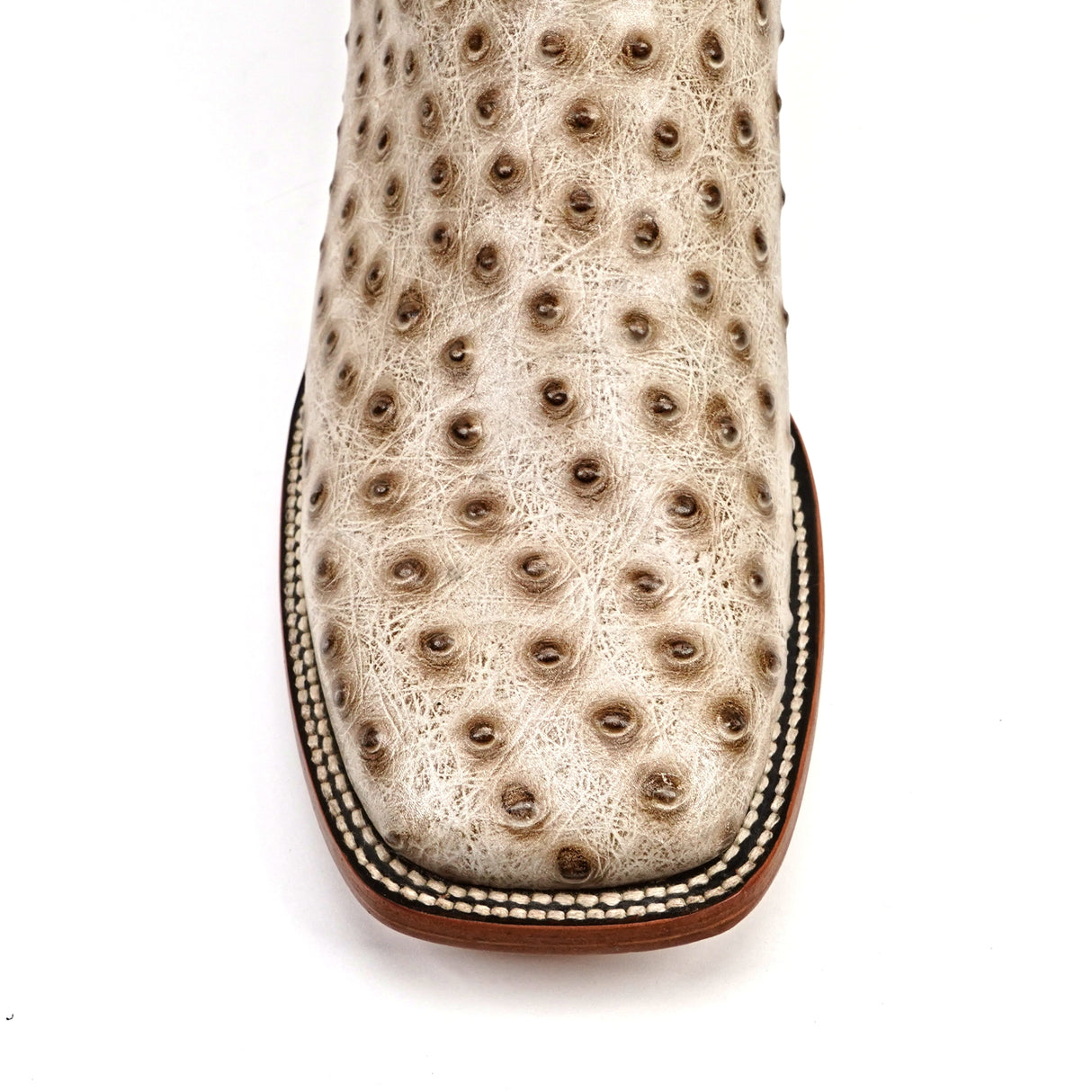 Ostrich Bone - Embossed Leather - Square Toe (E424)