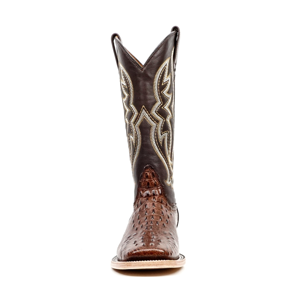 E427 Choco Fuscus H-501