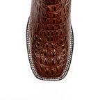 E427 Choco Fuscus H-501