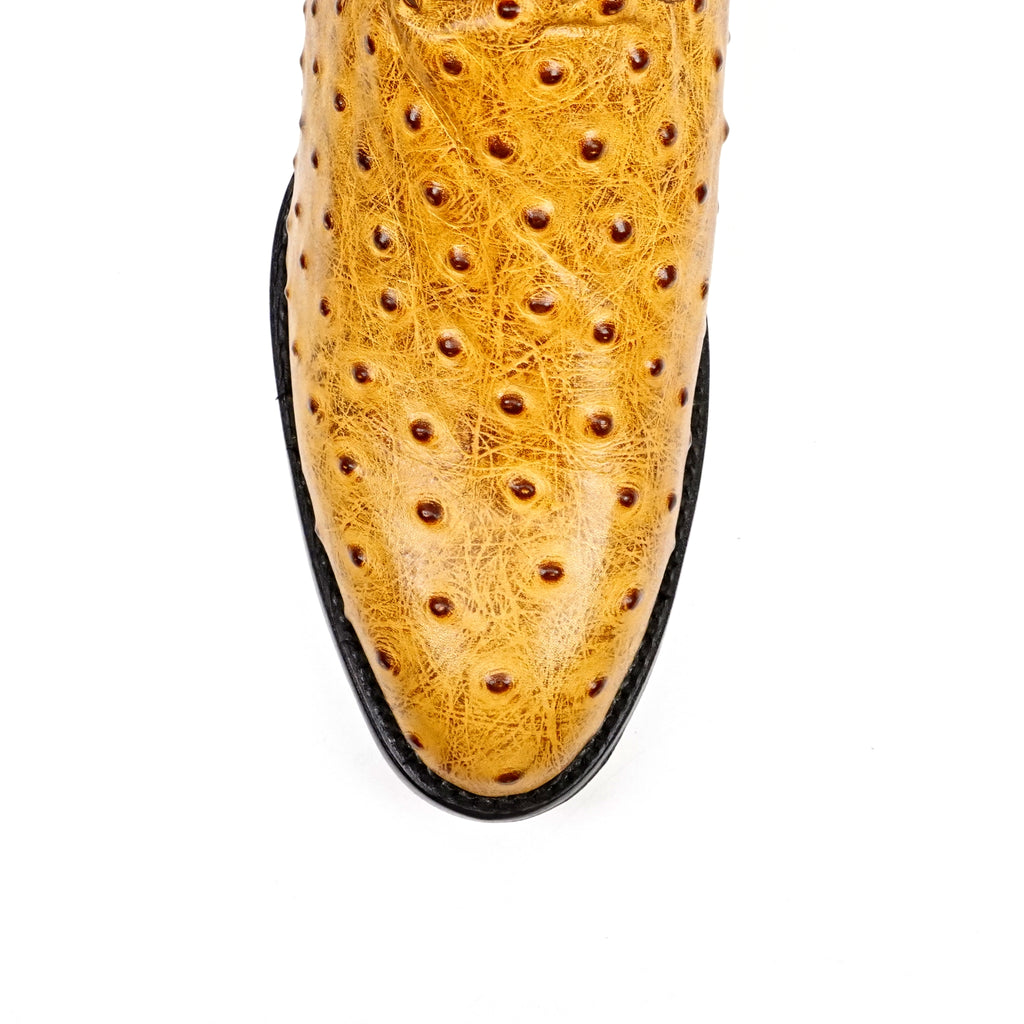 Botas Ostrich Buttercup - Piel Gofrada - Puntera Redonda (E436)