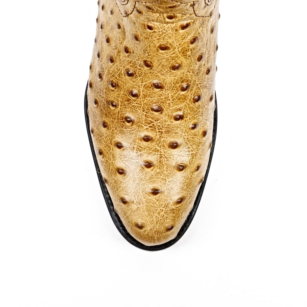 Botas Ostrich Orix - Piel Repujada - Punta Redonda (E436)
