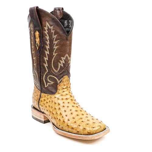 Botas de avestruz Austin - Color cervatillo - Punta cuadrada (AV20)