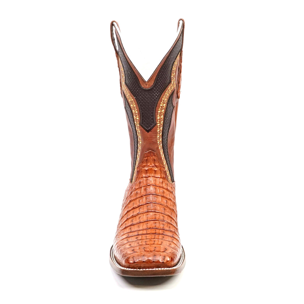 Botas Ranger Caimán Cuerno Dorso - Brandy - Punta Cuadrada