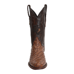 Botas Austin Ostrich - Tabaco - Punta Roper (AV201)