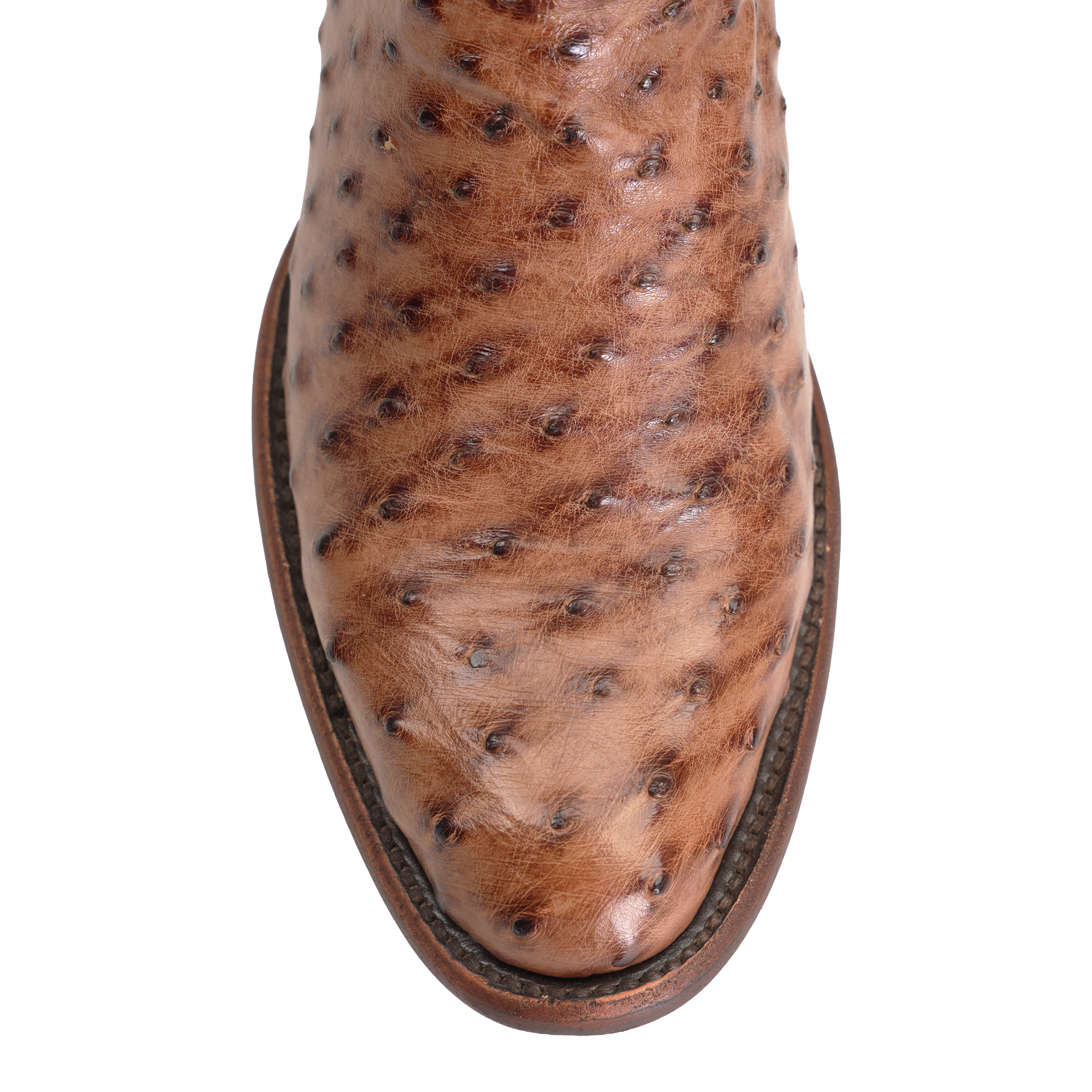 Botas Austin Ostrich - Tabaco - Punta Roper (AV201)