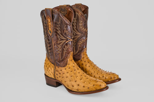 Austin - Fawn - Round Toe