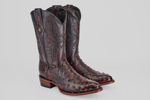 Austin - Black Cherry - Round Toe