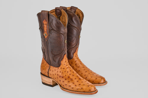 Austin - Brandy - Roper Toe