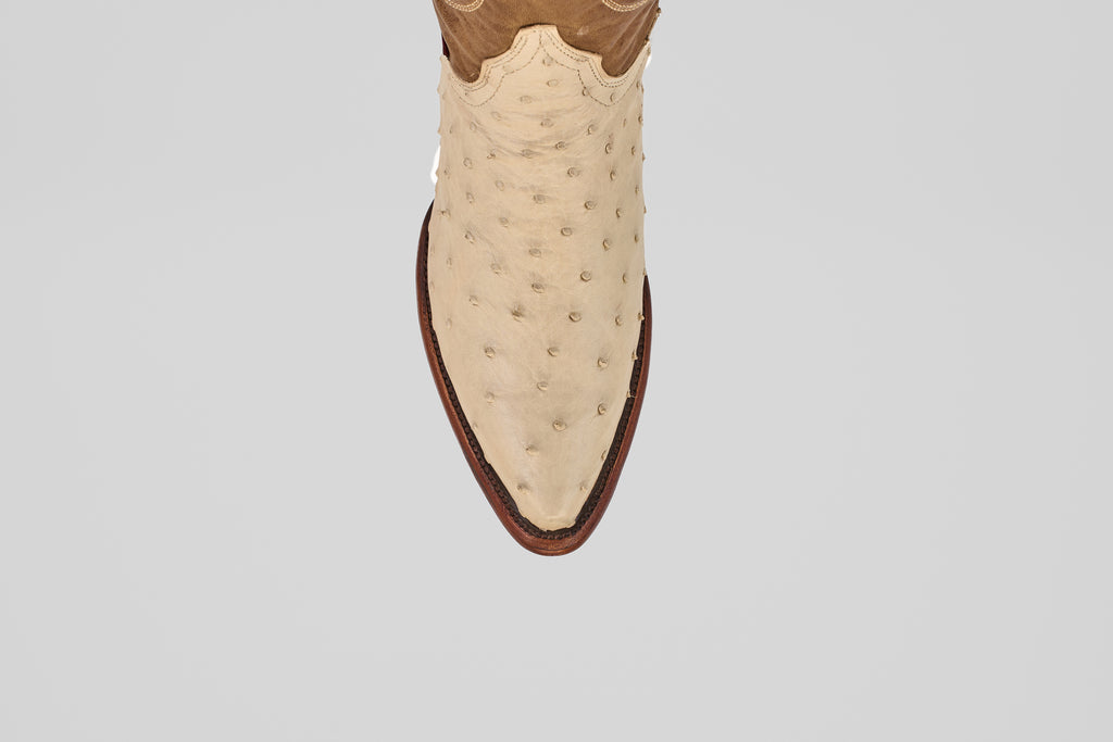 Top view of the Austin - Bone - Snip Toe boot in cream with a textured, ostrich-style finish and brown sole, centered on a plain light gray background.