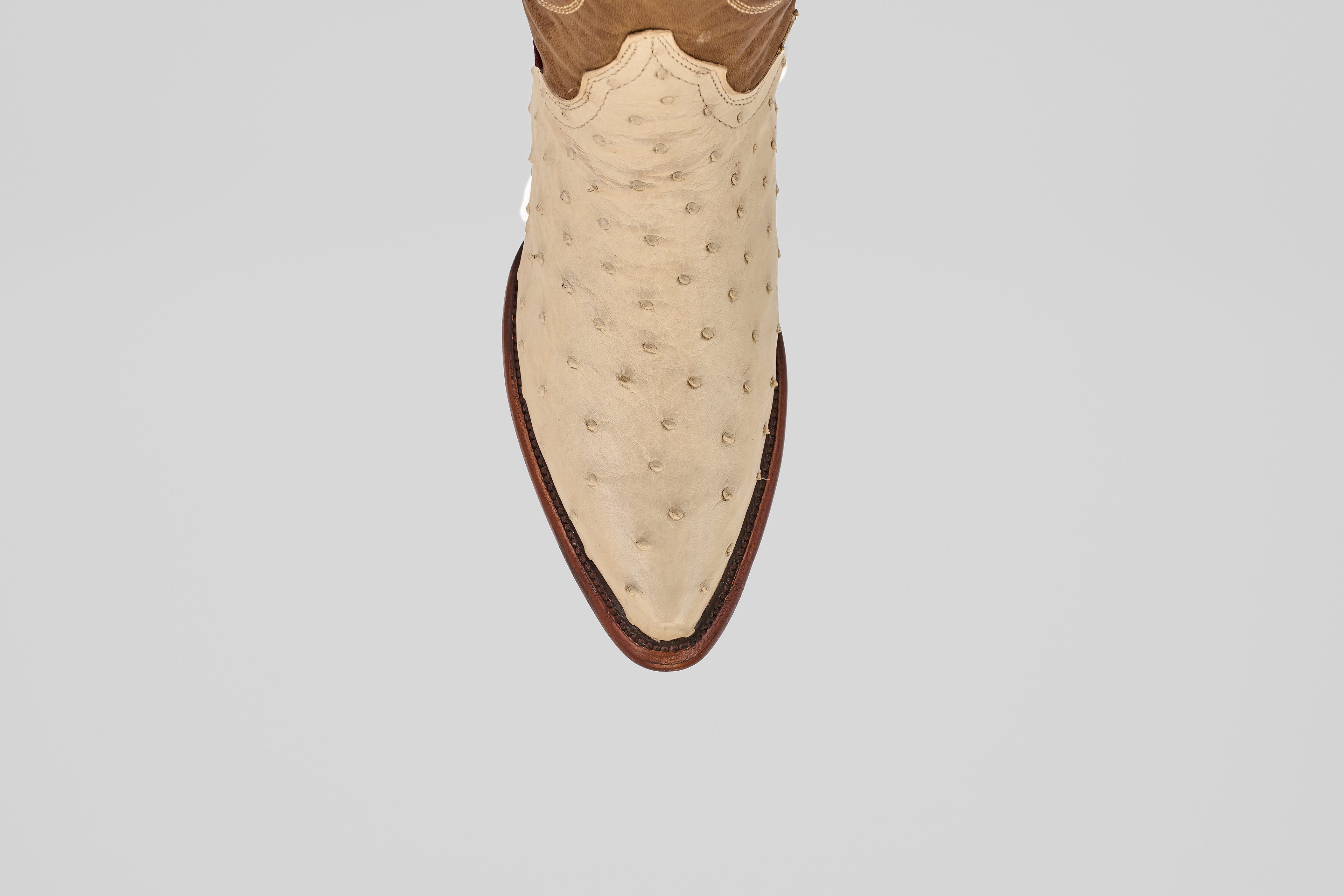 Top view of the Austin - Bone - Snip Toe boot in cream with a textured, ostrich-style finish and brown sole, centered on a plain light gray background.