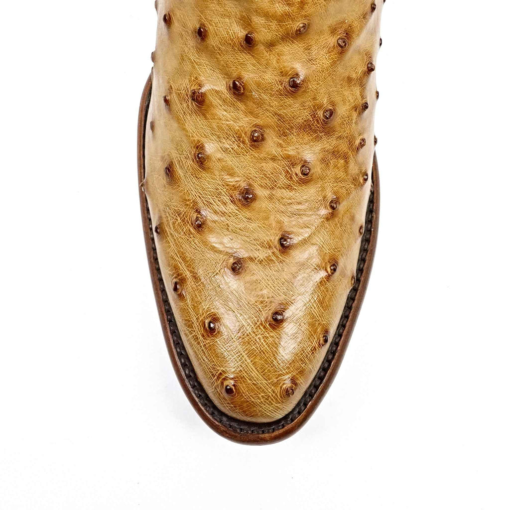 Austin Ostrich Boots - Fawn - Round Toe (AV230) - Gomez Western Wear