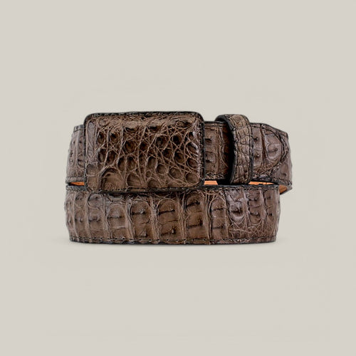 C-001 Caiman Serpentine