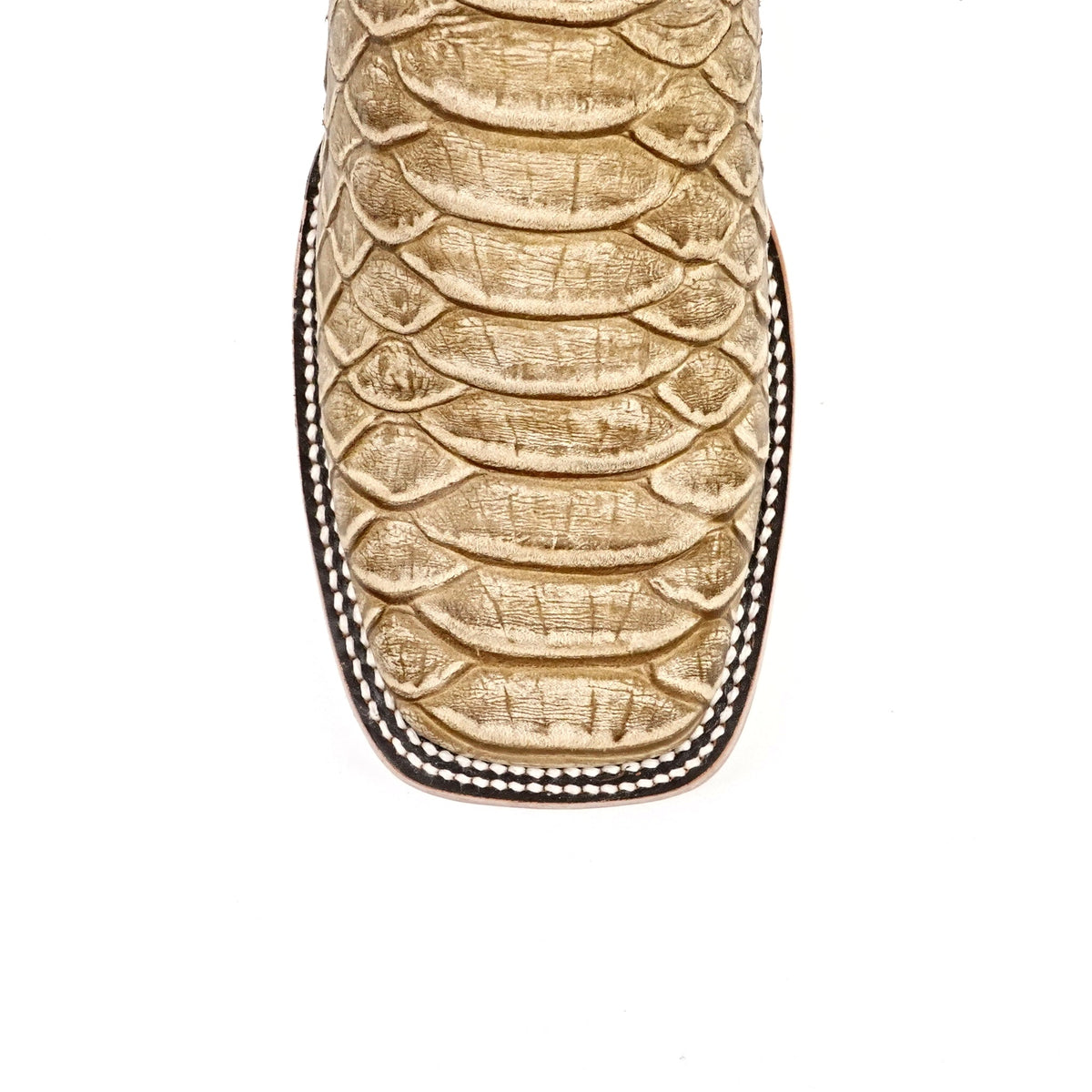 Jumbo Python Cappuccino Boots - Embossed Leather - Square Toe (E682) - Gomez Western Wear