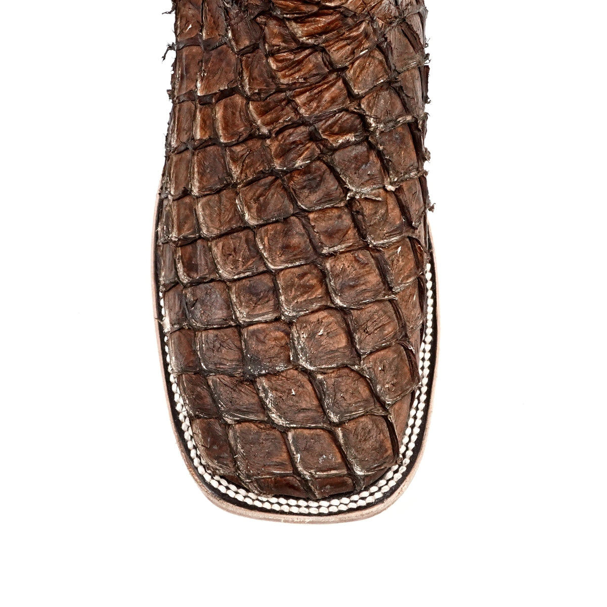 Pirarucu Fish Boots - Brown - Square Toe (PZ60 E.C.) - Gomez Western Wear