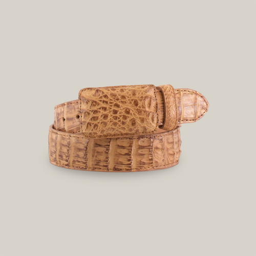 C-001 Caiman Antique