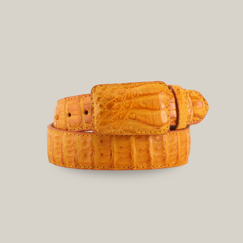 C-001 Caiman Mantequilla